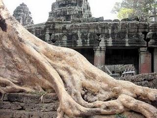 Angkor: l'ottava meraviglia del mondo