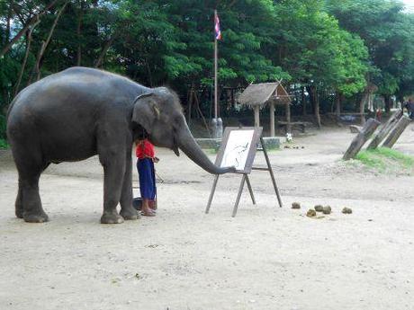 Chiang mai: elefanti e orchidee