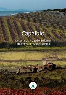 Il libro del giorno: Costa d'Argento e Caparbio. Con le Guide d'Autore i cantautori ci accompagnano nelle loro terre (Effequ)