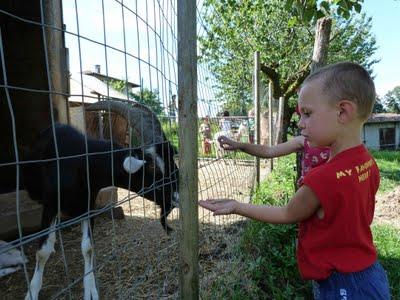 SGUARDI DI CUORE ovvero SULL'INTIMITÀ SGUARDI DI CUORE ovvero SULL'INTIMITÀ