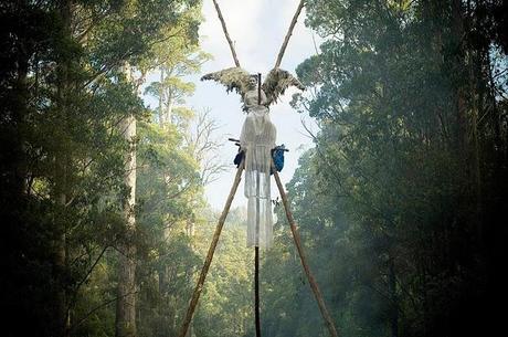 L'angelo delle foreste di Tasmania