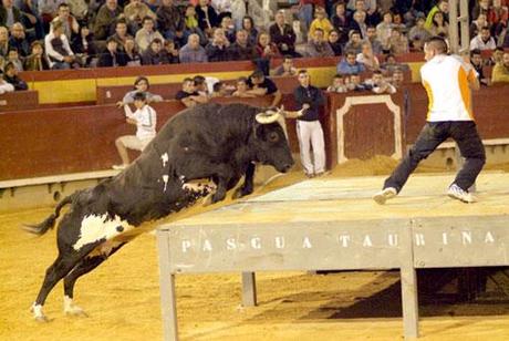 animali e umani animali e umani