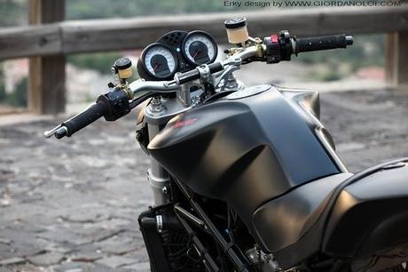 Ducati Monster Erky Ducati Monster Erky