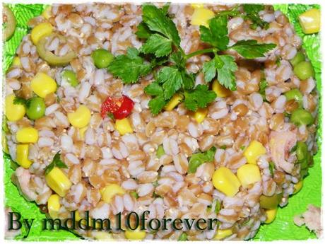 INSALATA DI FARRO COLORATA INSALATA DI FARRO COLORATA