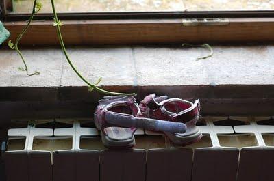 Ritagli di una vacanza. Ritagli di una vacanza.