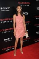 zoe saldana - valentino (scarpe christian louboutin e clutch salvatore ferragamo)