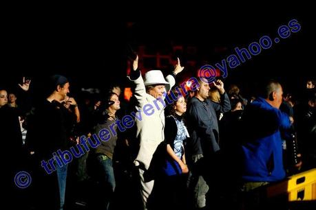 Canarie Dreaming… Canarie Dreaming…