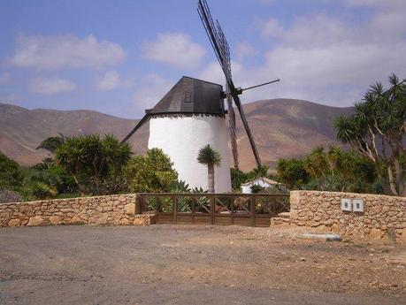 Canarie Dreaming… Canarie Dreaming…