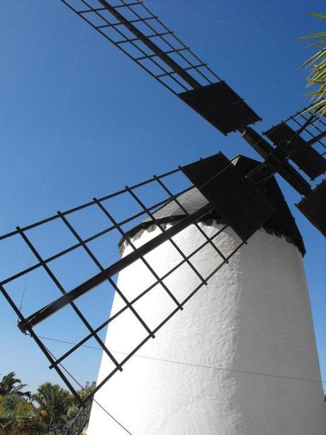 Canarie Dreaming… Canarie Dreaming…