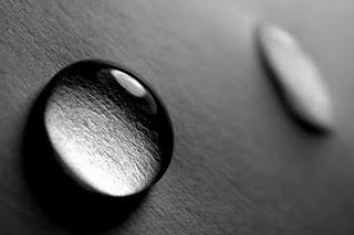 La bellezza delle piccole cose La bellezza delle piccole cose