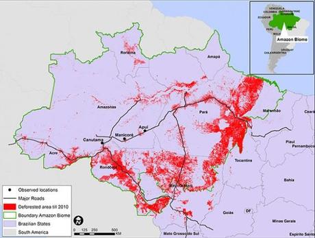 La deforestazione si espande nelle aree intatte dell'Amazzonia