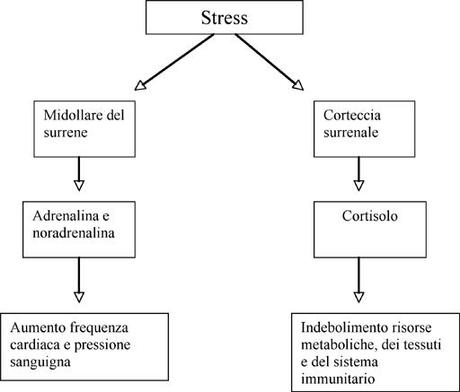 Caduta dei Capelli