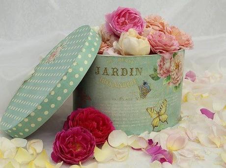 La bellezza... chi è? La bellezza... chi è?