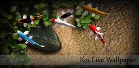 Sfondo Animato / Live Wallpaper per smartphone Android : Koi – Download e video