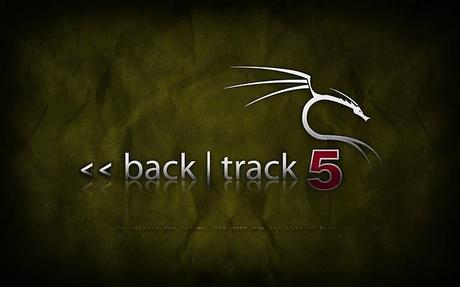 Backtrack si focalizza sulla necessità dei tester di sicurezza dei computer ed è disponibile sia come Live DVD che come Live USB.