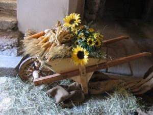 Carriola con fiori Nuovi usi per vecchi oggetti