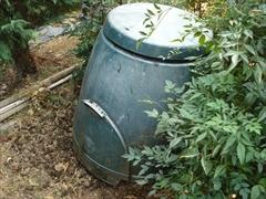 Come fare un buon compost sfruttando il rifiuto umido domestico