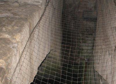 Via Francigena, a rischio la candidatura come patrimonio dell'Unesco Via Francigena, a rischio la candidatura come patrimonio dell'Unesco