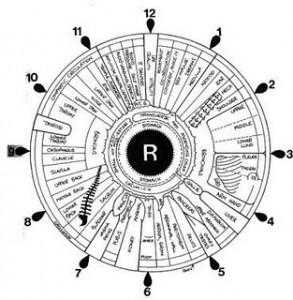 Iridologia: occhio… ai furbi