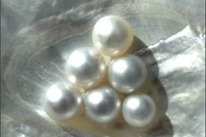 11 settembre: 2001 – 2011 11 settembre: 2001 – 2011