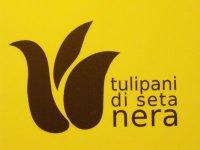 Tulipani di Seta Nera alla 68° mostra del cinema di Venezia