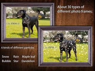 Animate Photo Free Animate Photo Free