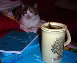 Alloro simbolo di gloria e vittoria e non solo Alloro simbolo di gloria e vittoria e non solo