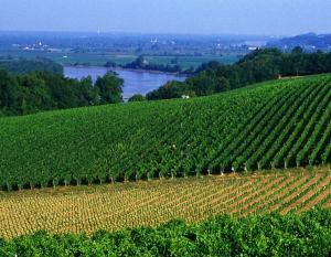 Top Wines 2012: Bordeaux