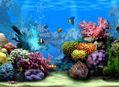 marine2aw 418x306 Acquario 3D come Screensaver del Desktop