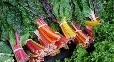 Beta vulgaris_varietà ornamentale di Bieta Beta vulgaris_varietà ornamentale di Bieta