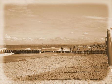 Last days of Summer... Last days of Summer...