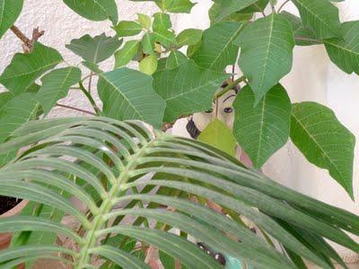 Continua ad esistere Continua ad esistere