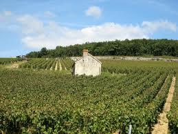 Top Wines 2012 Borgogna