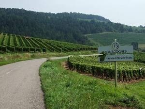 Top Wines 2012 Borgogna