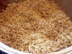 OLYMPUS DIGITAL CAMERA Orzo risottato con pleurotus