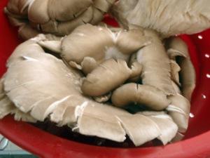 OLYMPUS DIGITAL CAMERA Orzo risottato con pleurotus