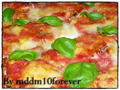 MELANZANE ALLA PARMIGIANA MELANZANE ALLA PARMIGIANA