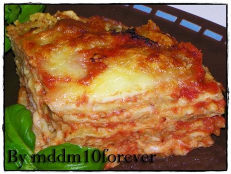 MELANZANE ALLA PARMIGIANA MELANZANE ALLA PARMIGIANA