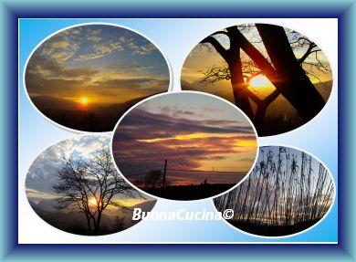 Mi intriga il loro meraviglioso colore ed il loro ineguagliabile sapore .. Mi intriga il loro meraviglioso colore ed il loro ineguagliabile sapore ..