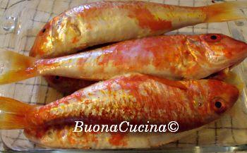 le triglie di scoglio Mi intriga il loro meraviglioso colore ed il loro ineguagliabile sapore ..