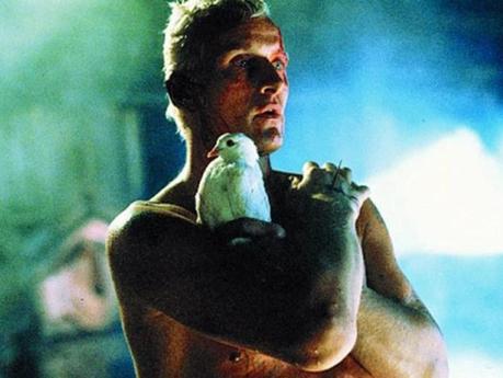 Niente invecchia velocemente come il futuro, di S.D. Niente invecchia velocemente come il futuro, di S.D.