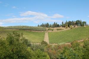 Tour del Chianti e 10 anni di Matrimonio 2/2