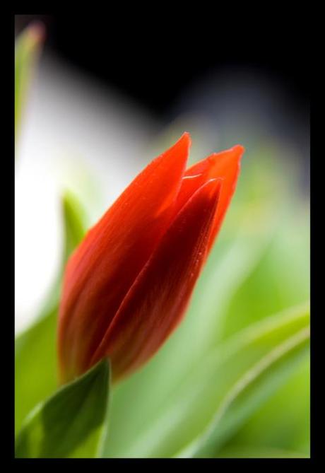 E dice guarda... E dice guarda...