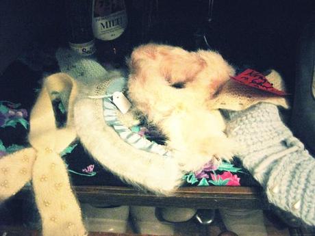 At the antique shop with Lisa At the antique shop with Lisa