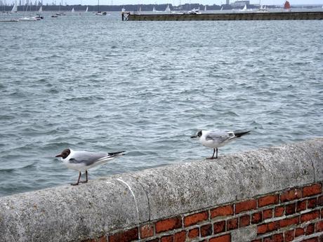 “Siamoappenatornati!”, racconti di viaggio. L’Isola di Wight.