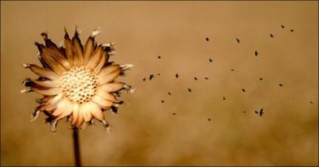 Dice una leggenda... Dice una leggenda...