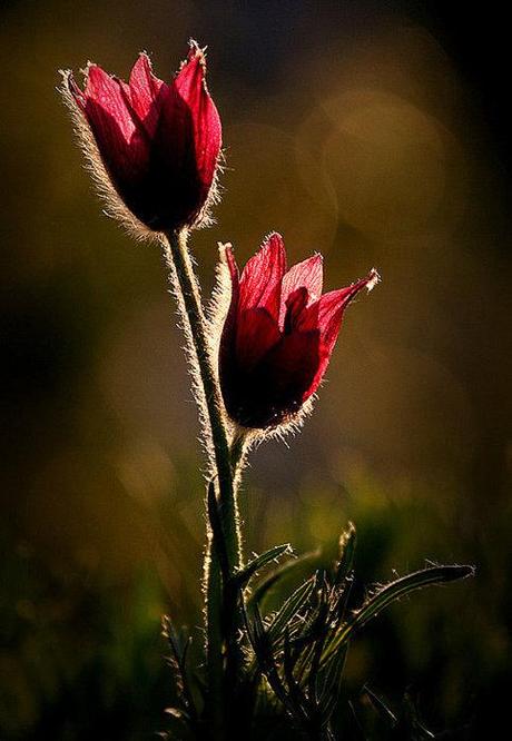 Ho una indigestione nell’anima Ho una indigestione nell’anima