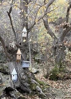 La bottega di Betti_ non solo voliere La bottega di Betti_ non solo voliere