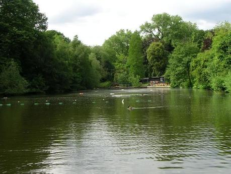 Hampstead Ponds