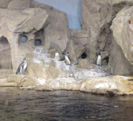 Tag this photo Tag this photo